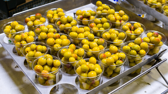 Mirabelles de Lorraine en shaker (fruits frais)