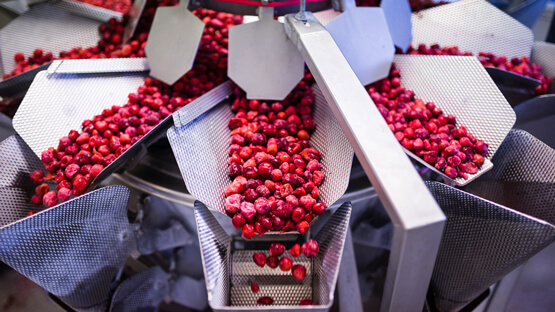 Cerises (fruits surgelés)