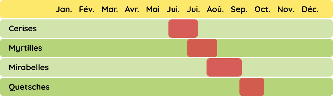 Calendrier de récolte de nos fruits frais